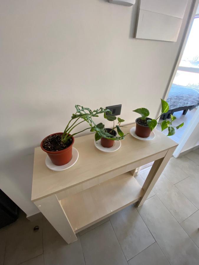Departamento Central バルジビア エクステリア 写真